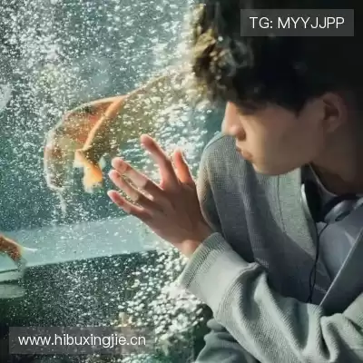 韶靓影